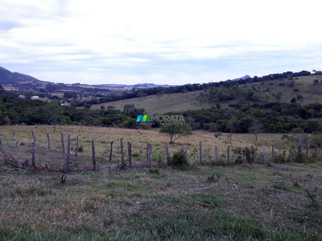 Fazenda à venda - 90 hectares - lavras (mg) - Foto 4
