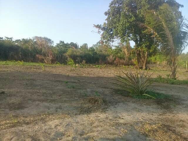 Terreno de tajaçuaba - Foto 4
