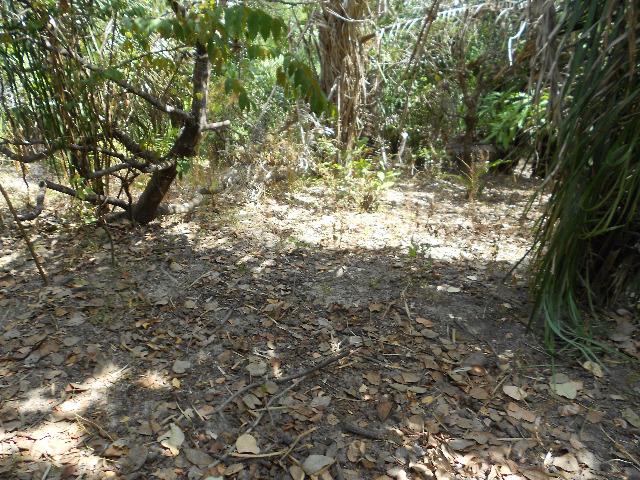 Vendo imóvel na Vila Vitória, com 1.500m² - Foto 11