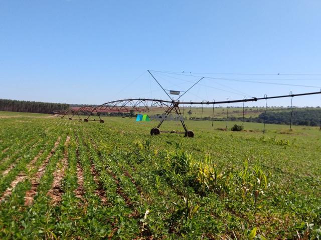 FAZENDA A VENDA - 300 hectares - REGIÃO PITANGUI (MG) - Foto 6