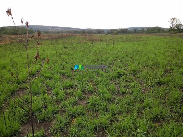 FAZENDA À VENDA - 55 HECTARES - REGIÃO DE PITANGUI (MG) - Foto 13