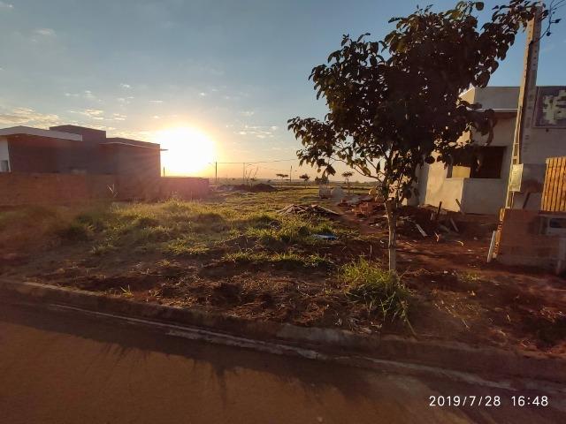 Terreno Cidade Jardim I - Foto 4