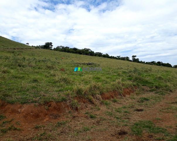 Fazenda à venda - 90 hectares - lavras (mg) - Foto 3