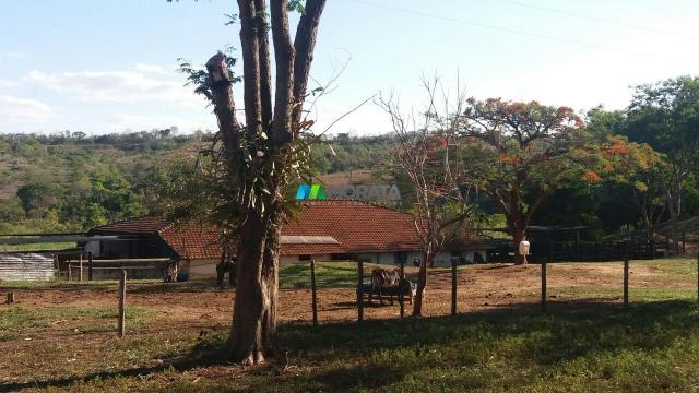 FAZENDA A VENDA - 447,50 hectares - REGIÃO PEQUI (MG) - Foto 20