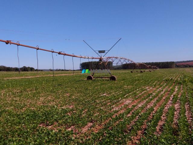 FAZENDA A VENDA - 300 hectares - REGIÃO PITANGUI (MG) - Foto 7
