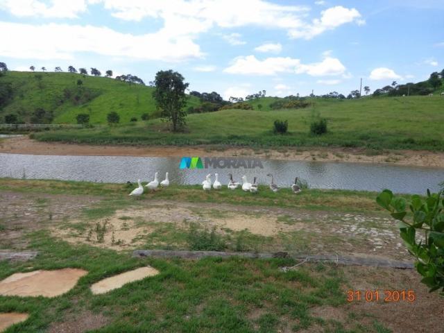 Fazenda à venda - 1.180 hectares - região jequitibá (mg) - Foto 15