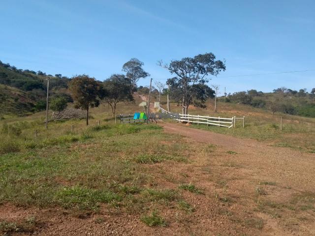 FAZENDA À VENDA - 187 HECTARES - ONÇA DO PITANGUI (MG) - Foto 18