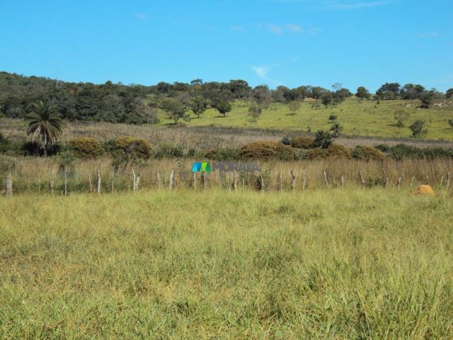 FAZENDA À VENDA - 300 HECTARES - PITANGUI (MG) - Foto 5