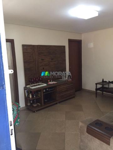 FAZENDINHA À VENDA - 2,5 HECTARES - PEQUI (MG) - Foto 17