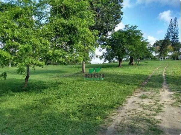 Fazenda à venda, 4190000 m² por r$ 5.600.000 - cidade nova - ilhéus/ba - Foto 4