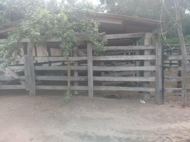 Fazenda 80 hectares próximo a Cuiabá - Foto 4