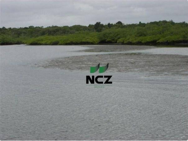 Fazenda à venda, 4080000 m² por r$ 5.000.000 - barra grande - maraú/ba - Foto 2