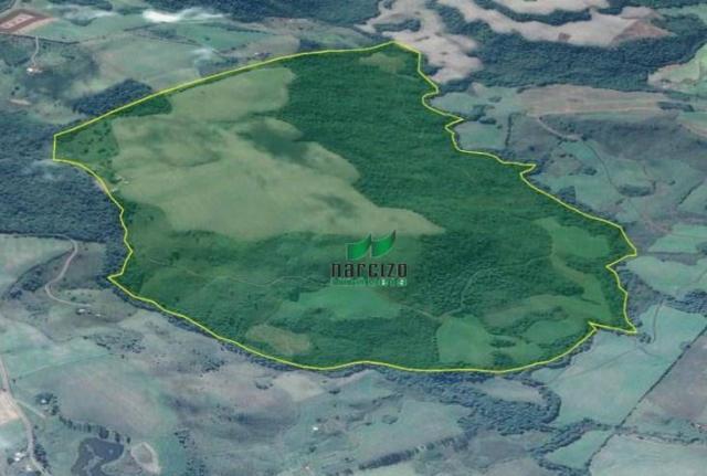 Fazenda à venda, 1113200 m² por r$ 3.800.000 - linha mangabeira - santa maria do oeste/pr - Foto 8