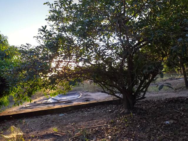 Chácara - Foto 4
