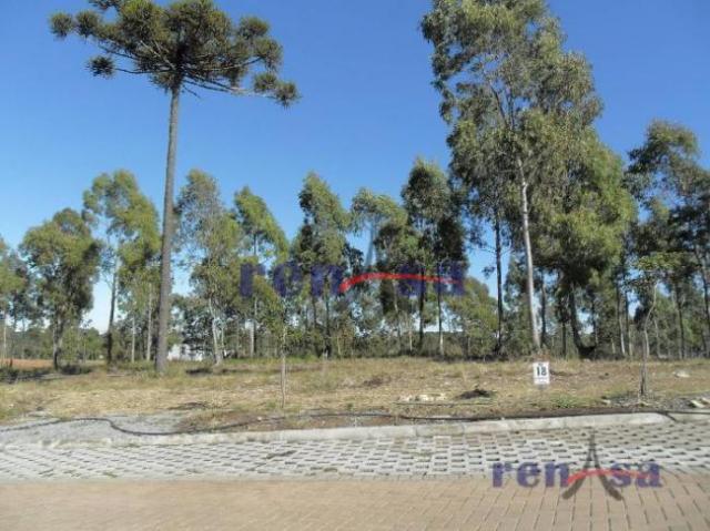 Terreno em caxias do sul - Foto 5