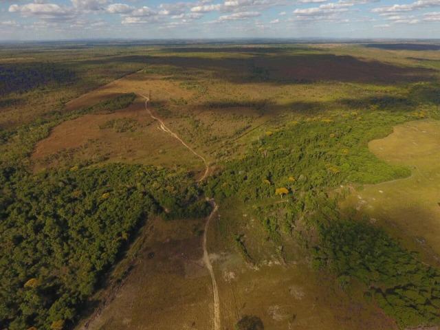 935 há (193 alq) Pecuária e Grãos com ótima sede e benfeitorias e pista de pouso de 1.300m - Foto 3