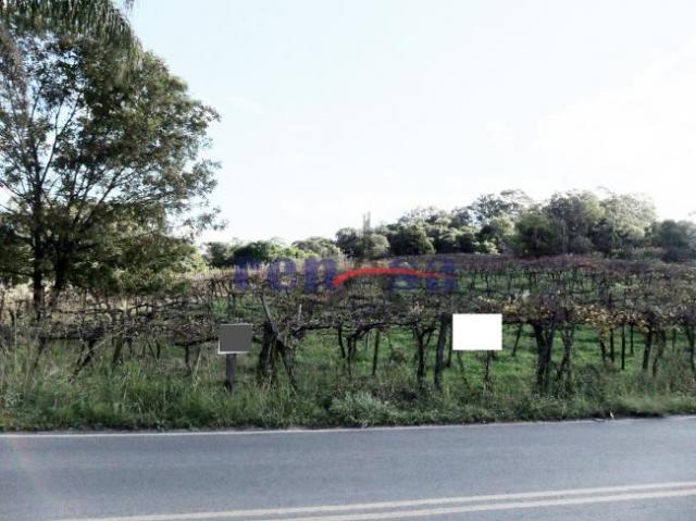 Terreno em caxias do sul - Foto 5