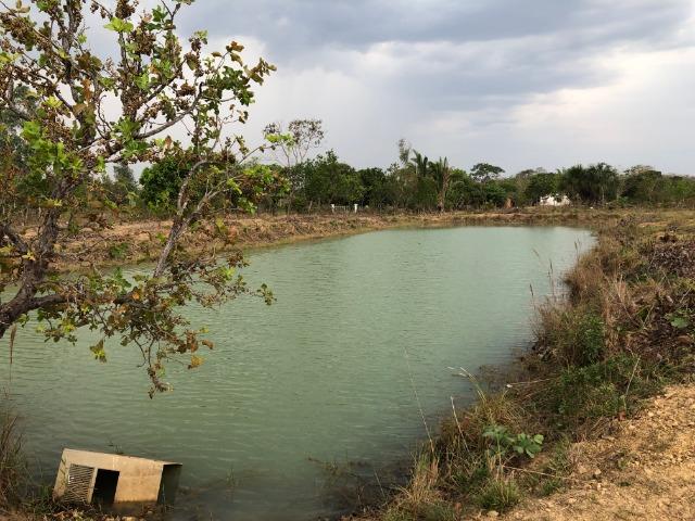 Chácara - Foto 5