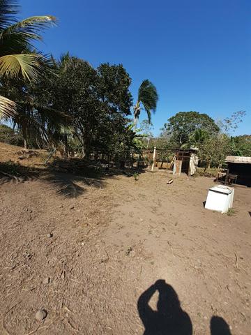 Vendo chacara em jangada