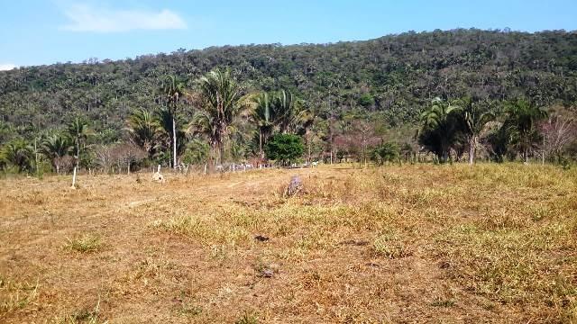 Fazenda 142 ha Serra de São Vicente MT - Foto 6