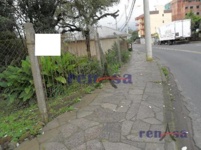 Terreno em caxias do sul - Foto 2