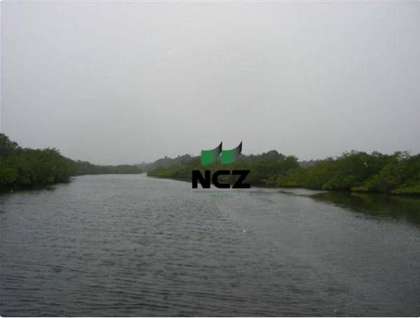 Fazenda à venda, 4080000 m² por r$ 5.000.000 - barra grande - maraú/ba - Foto 8