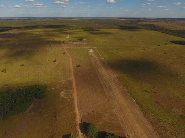935 há (193 alq) Pecuária e Grãos com ótima sede e benfeitorias e pista de pouso de 1.300m