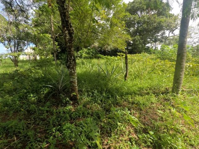 Sítio em Candeias com 9.174m2 - Foto 14