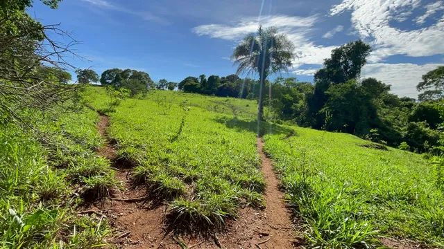 Vende-Se 13 alqueires em Trindade-GO - Foto 5