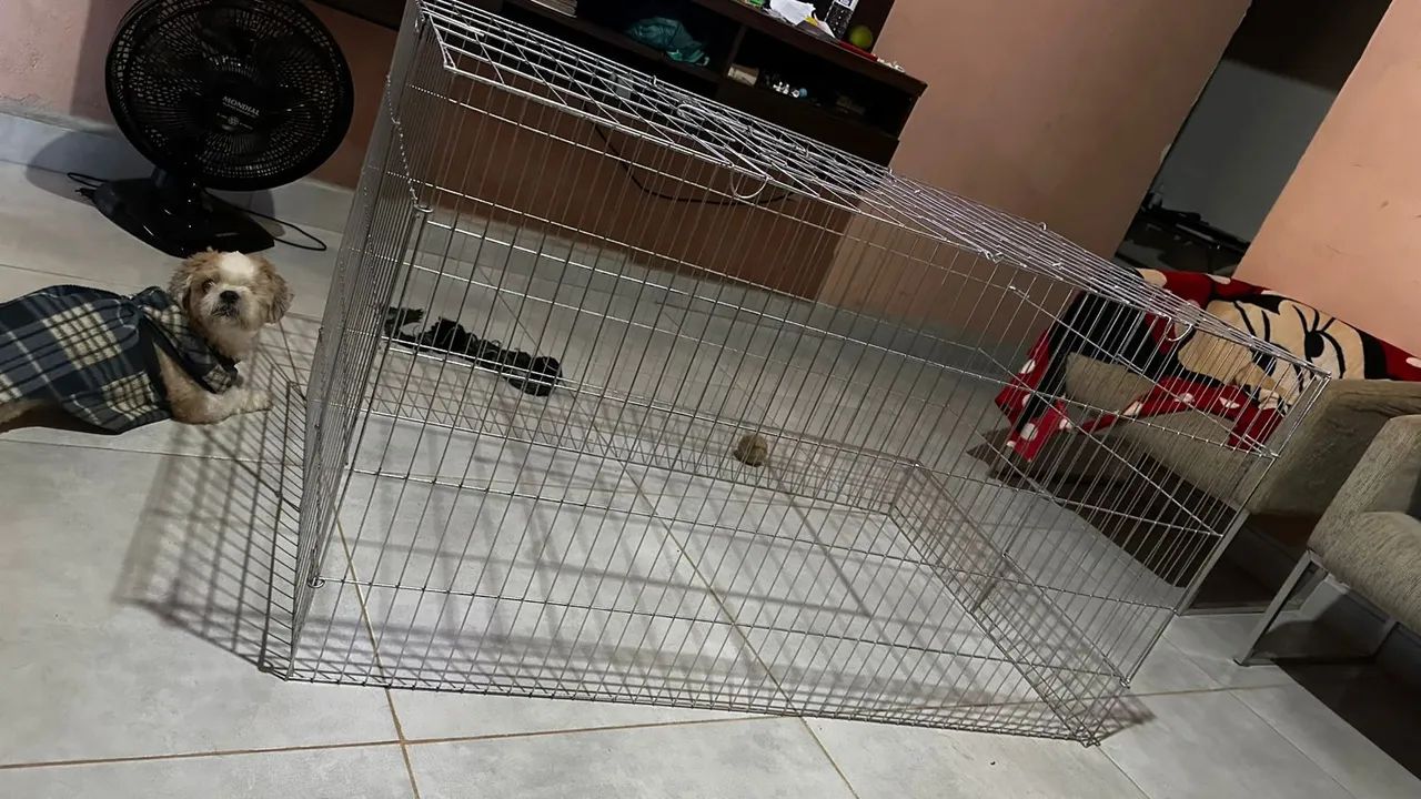 Gaiola para Animais - Foto 5