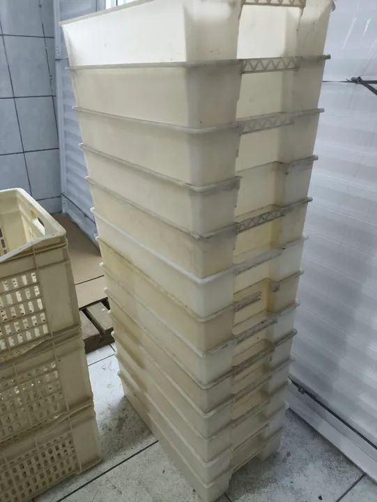 Bandejas Plásticas e Pallets