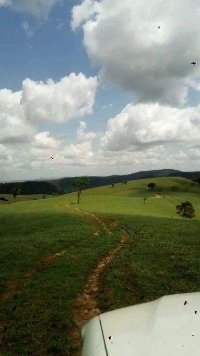 Fazenda em São José da Lage/AL, acesso a rodovia BR 104 até o imóvel rural é 6 Km. - Foto 2