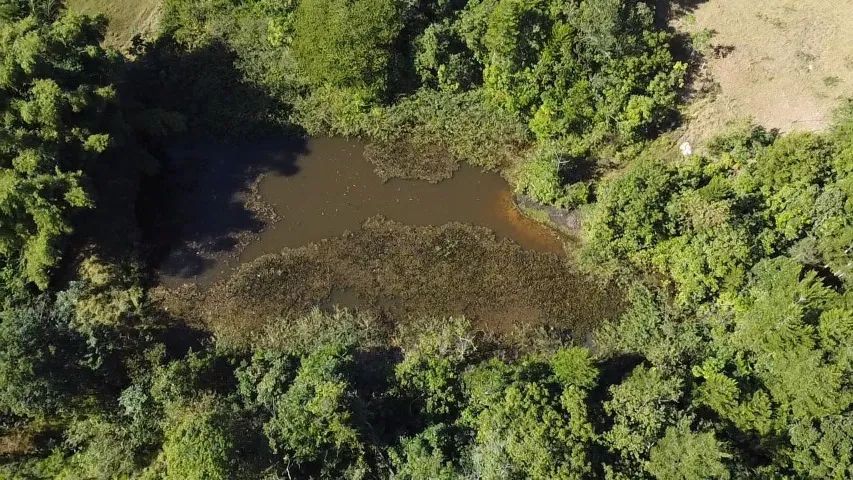 50 hectares a 25 Km de Campo Grande - Foto 17