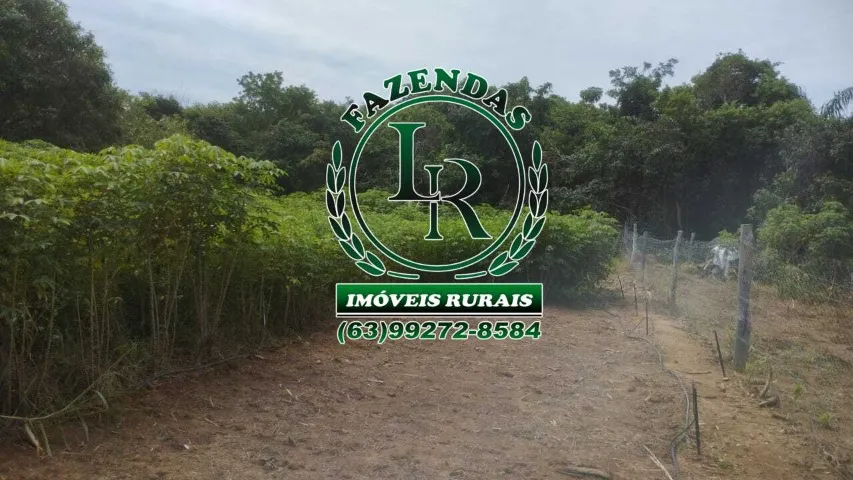 Excelente Chácara Região Sul de Palmas