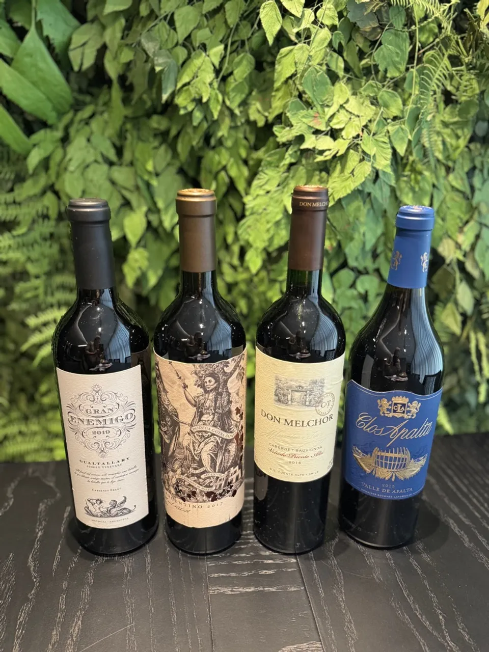 04 vinhos argentinos Premium