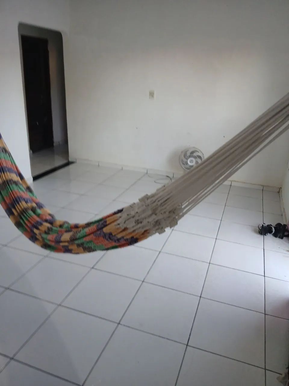 Foto - Boa Vista - Pintolândia