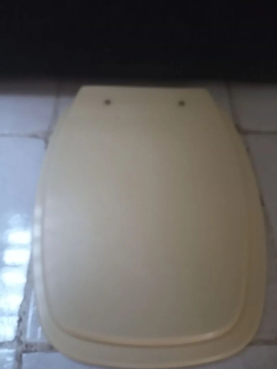Assento de Vaso Sanitário em acrilico