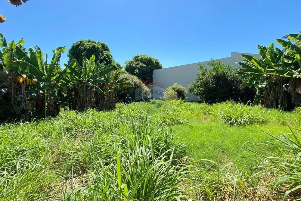 Terreno à venda - Jardim Jaçanã - Tupã/SP - Foto 2