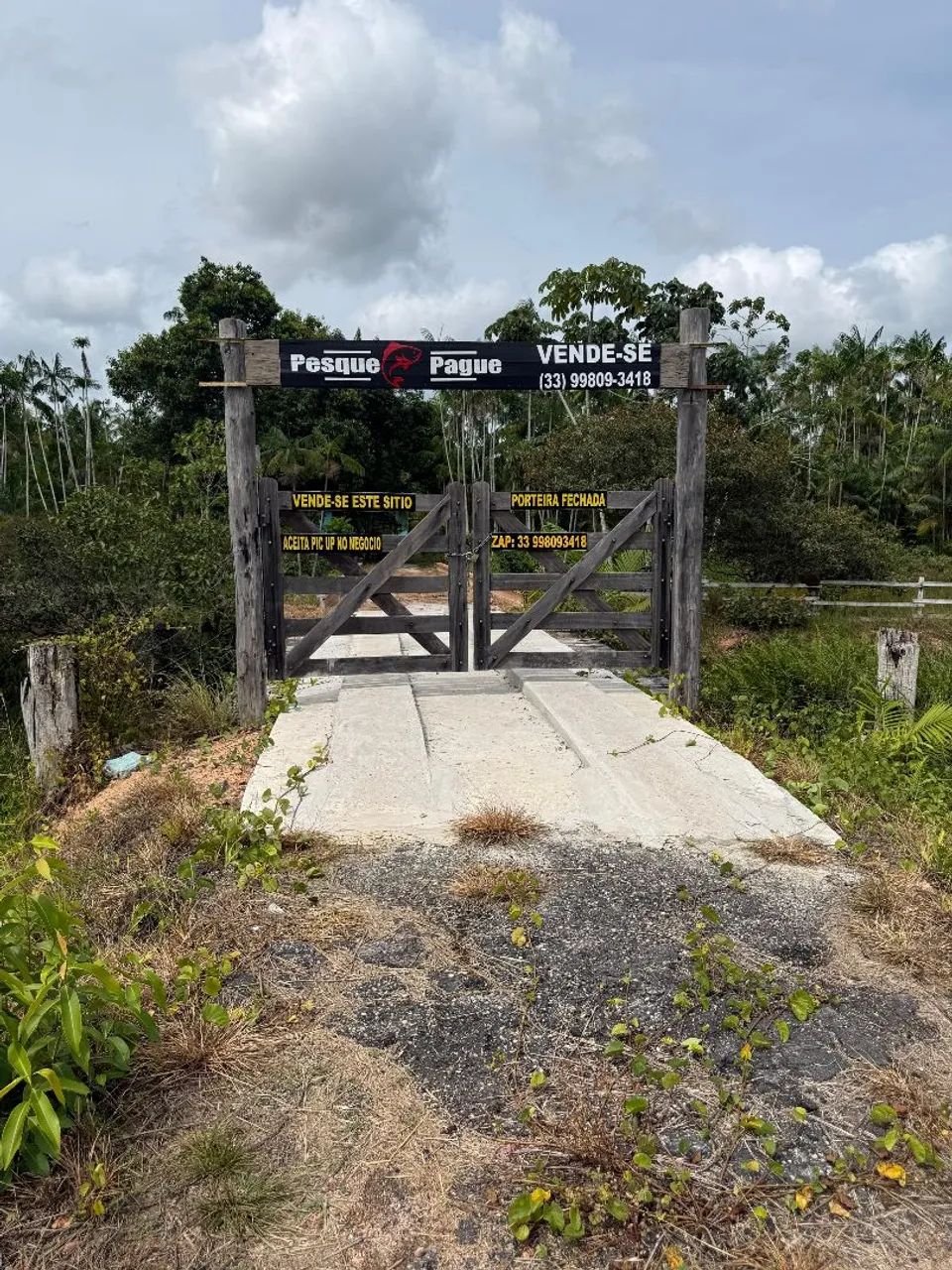 Sitio Pesque e Pague Localizado No KM 75- Aurora- Pa - Foto 11