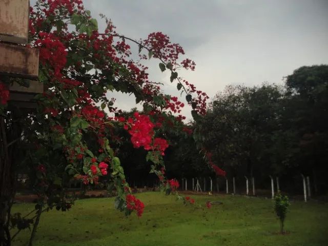 Itupeva Chácaras Guacuri 2 lindas casas - Foto 9