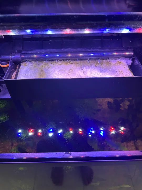 Aquário Boyu 33L com acessórios - Foto 2