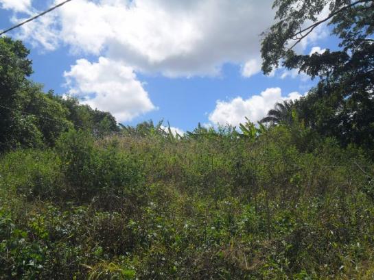 Fazenda Santana - Gravatá/PE - Zona Rural - Foto 10