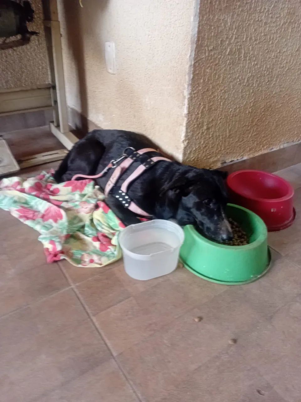 Foto - Goiânia - Jardim Nova Esperança