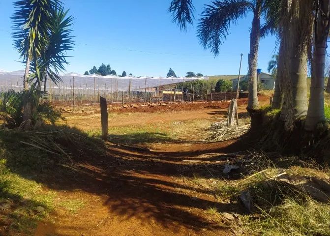  OPORTUNIDADE! Sítio com Casa Boa, Estufas, Tanques e Cachoeira - Aceita Permuta em Jlle - Foto 4