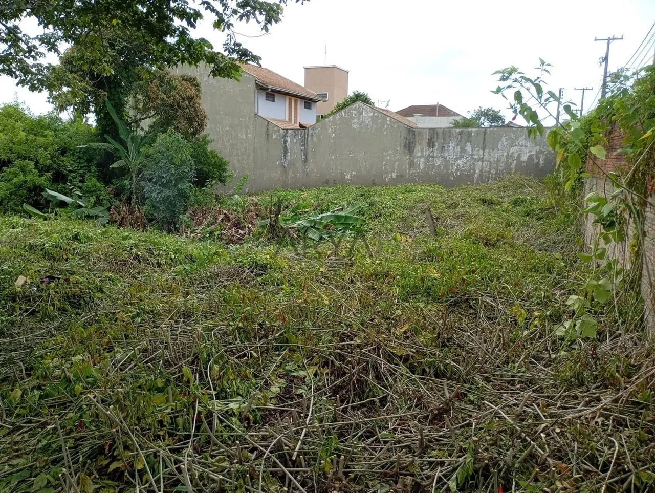 Terreno à venda no bairro Piçarras ARYA1 - Foto 3