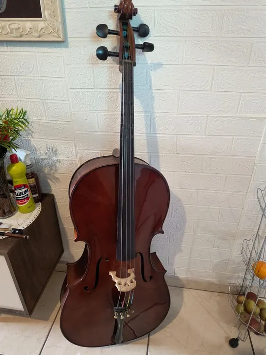 Violoncelo Eagle Ce200 4/4 com arco e capa