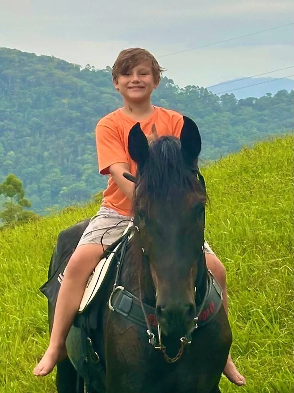 Cavalo Preto para Passeios manga larga - Foto 3