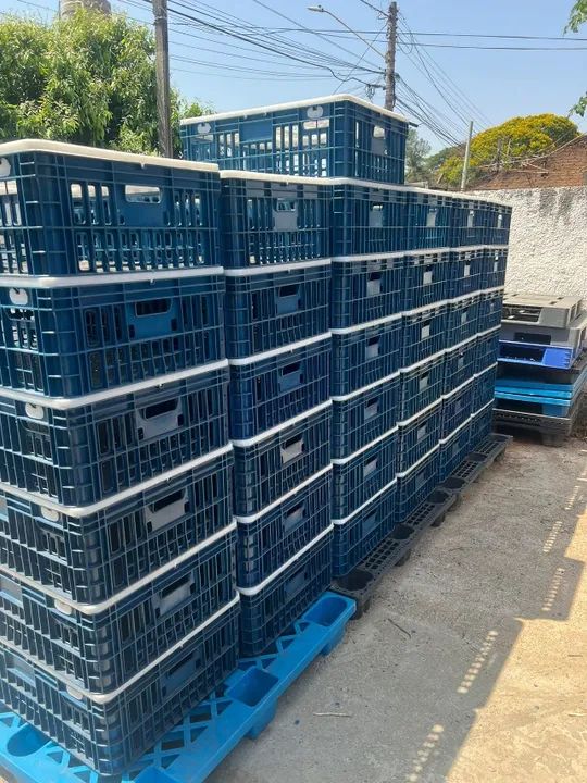 170 Gaiolas Para Transporte De Frango Vivo - Novas