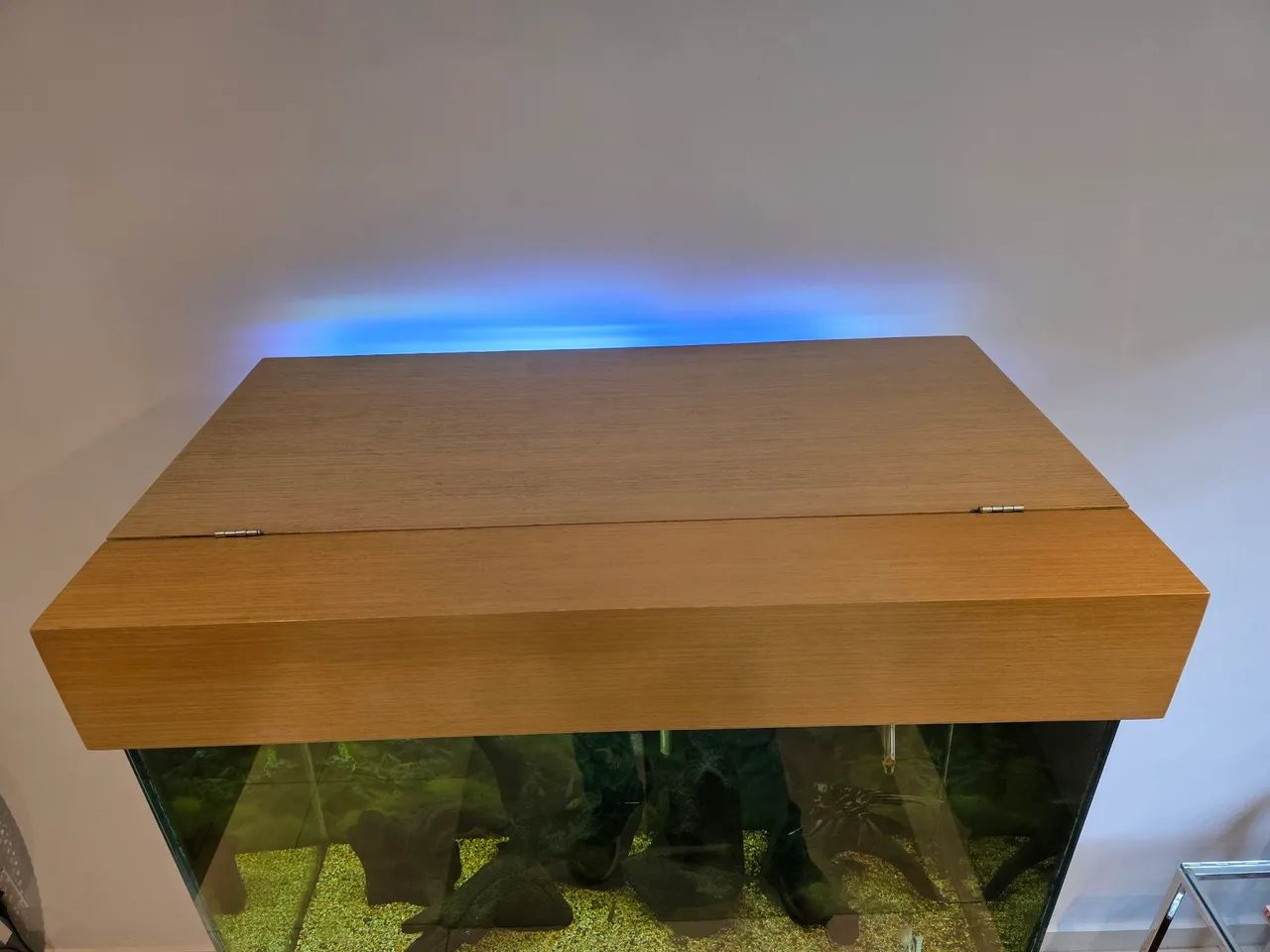 Aquario 270 litros com móvel e iluminação