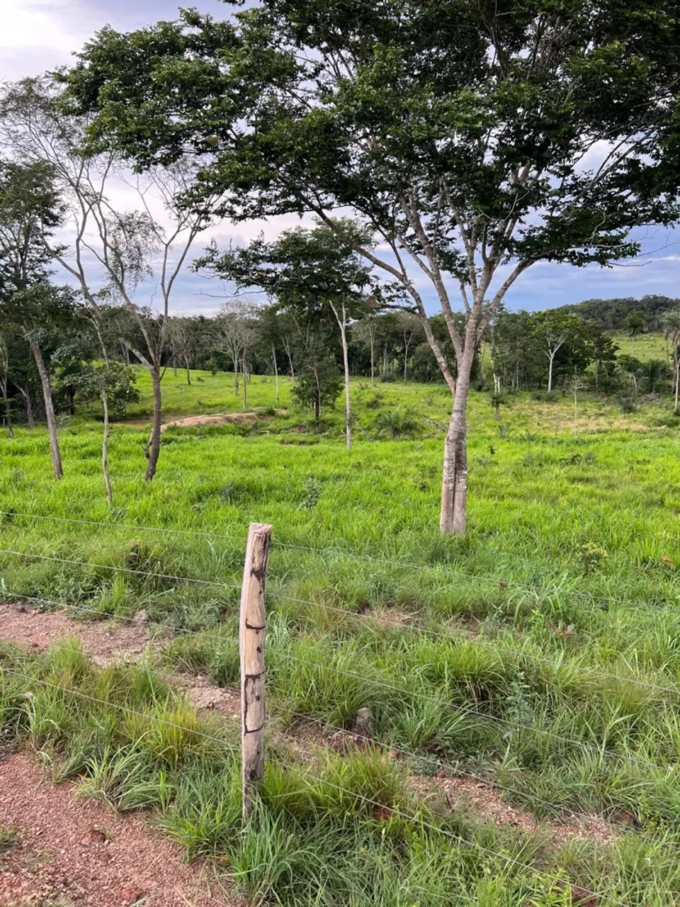 Vende-se esta linda chácara 